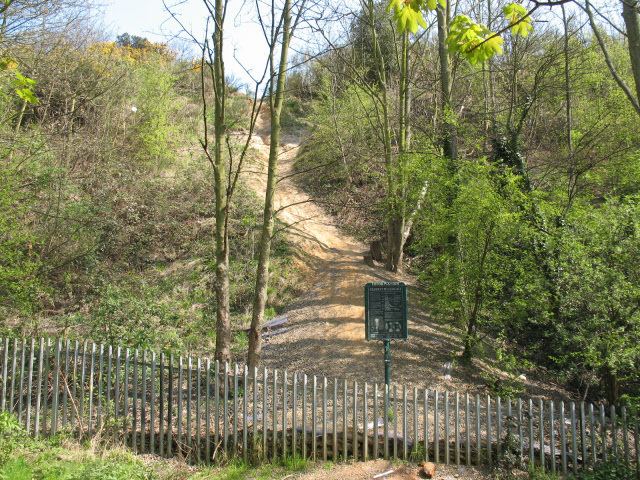 Gilbert's Pit Landslip in GIlbert39s Pit Stephen Craven Geograph Britain and