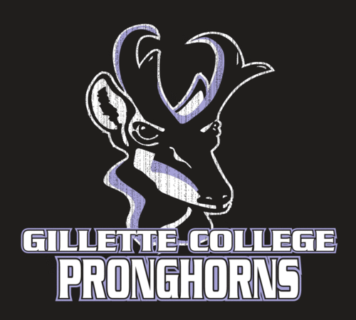 Gillette College httpspbstwimgcomprofileimages2524811388u6