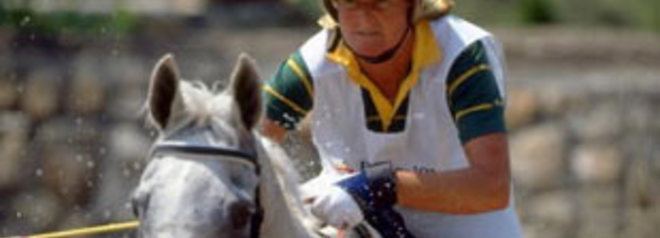 Gillian Rolton Australian Olympic Committee Gil Rolton