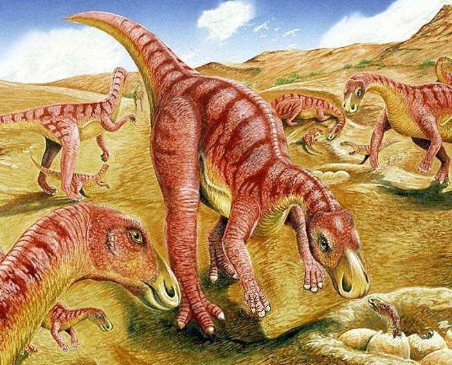Gilmoreosaurus wwwnhmacukresourcesnatureonlinelifedinosau