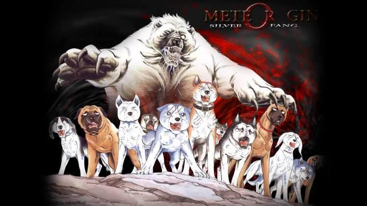 Silver Fang Wallpapers - Top Free Silver Fang Backgrounds - WallpaperAccess