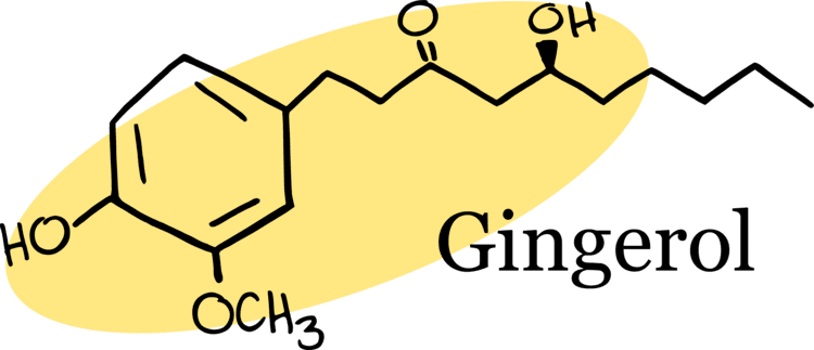 Gingerol Ginger scienceandfooducla