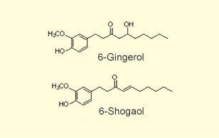 Gingerol Fast Analysis of Gingerol and Shogaol in Ginger SHIMADZU Shimadzu