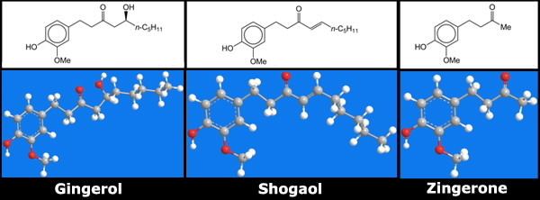 Gingerol Gingerol Shogaol and Zingerone American Chemical Society