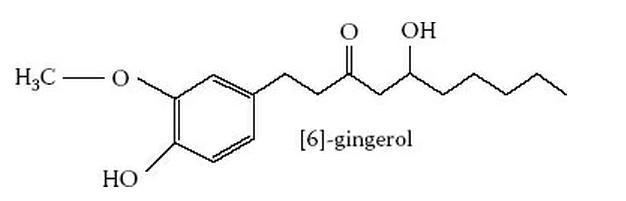 Gingerol Ginger Scientific Review on Usage Dosage Side Effects Examinecom