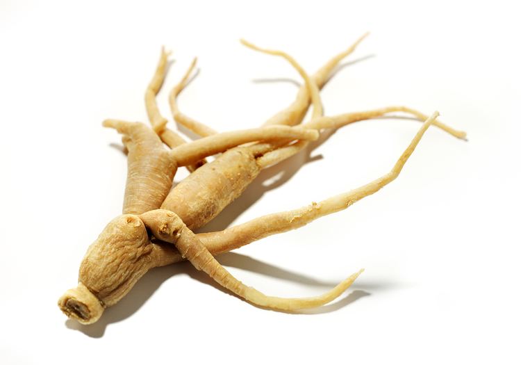 Ginseng Ginseng The Root Of Improving Athletic Performance Competitorcom