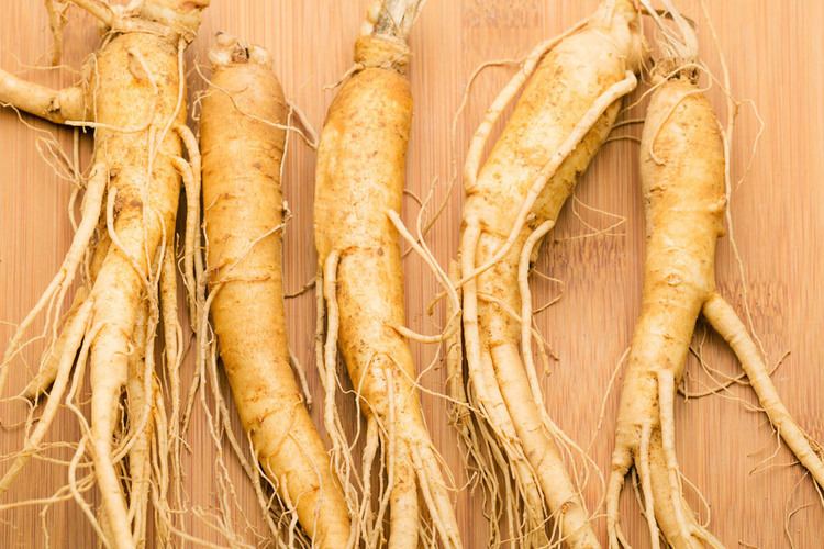 Ginseng Rainey Ginseng Since 1947 Buy high quality north american ginseng
