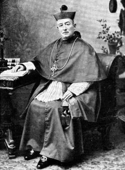 Giovanni Battista Casali del Drago Cardinal Giovanni Battista Casali del Drago 1838 1908 Find A
