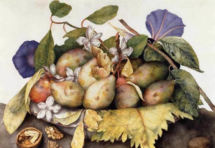 Giovanni Garzoni Still life with Plums Walnuts and Jasmi Giovanna