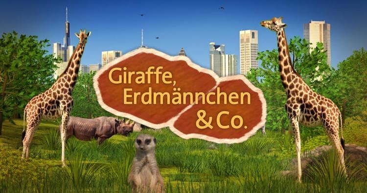 Giraffe, Erdmännchen & Co. wwwdaserstedeinformationzoogeschichtengiraffe