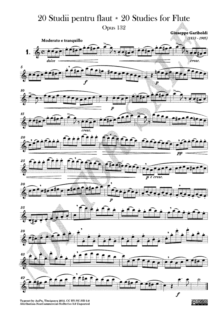 Giuseppe Gariboldi 20 Studies for Flute Op132 Gariboldi Giuseppe IMSLPPetrucci