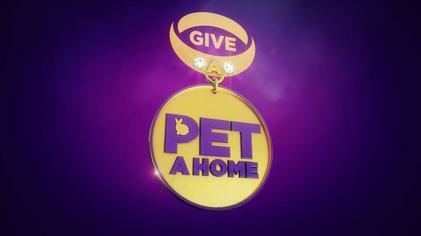 Give a Pet a Home httpsuploadwikimediaorgwikipediaen771Giv