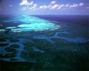 Gladden Spit and Silk Cayes Marine Reserve wwwtheoceanadventurecomwsieIMAGESGladdenjpg