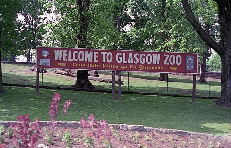 Glasgow Zoo Glasgow Zoo Closed Photo Galleries ZooChat