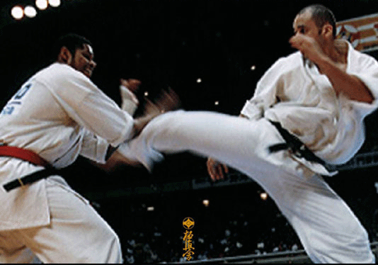 Glaube Feitosa Rudolf Conquet Kyokushin Fighters Profile