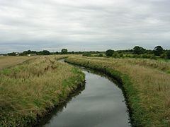Glaze Brook httpsuploadwikimediaorgwikipediacommonsthu