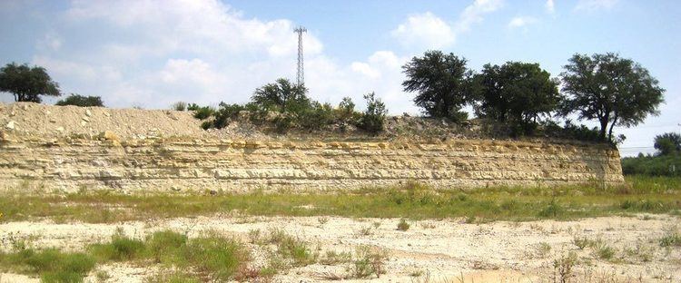 Glen Rose Formation North Texas Fossils Glen Rose formation