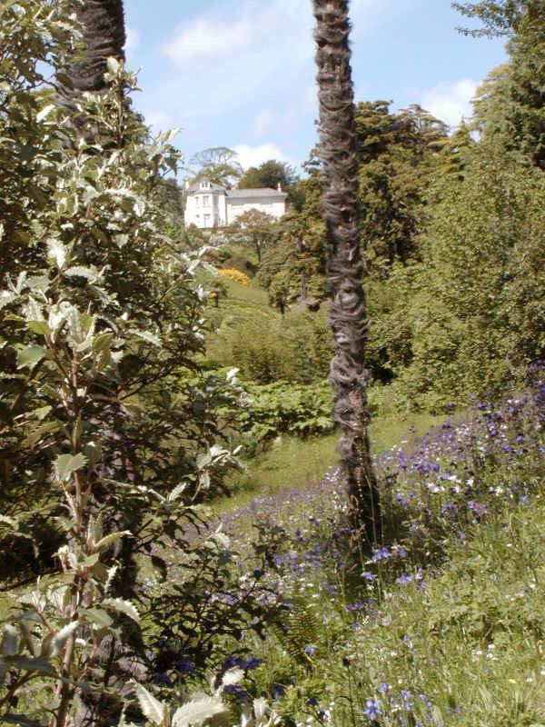 Glendurgan Garden