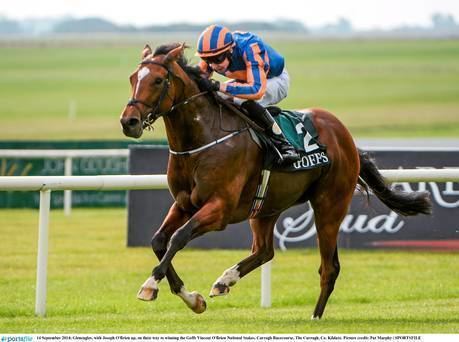 Gleneagles (horse) Gleneagles cut for next year39s Guineas after National Stakes win