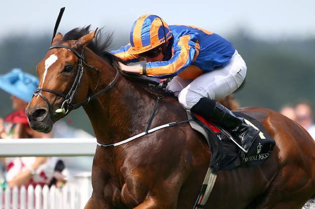 Gleneagles (horse) Gleneagles wins the St James39s Palace Stakes Horse Racing Tips and
