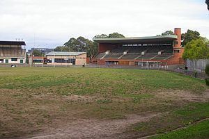 Glenferrie Oval httpsuploadwikimediaorgwikipediacommonsthu
