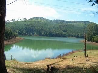 Glenmorgan, Ooty Home District of The Nilgiris District Tamilnadu India