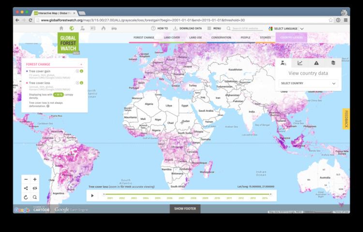 Global forest watch что это