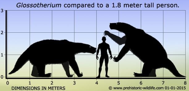 Glossotherium Glossotherium