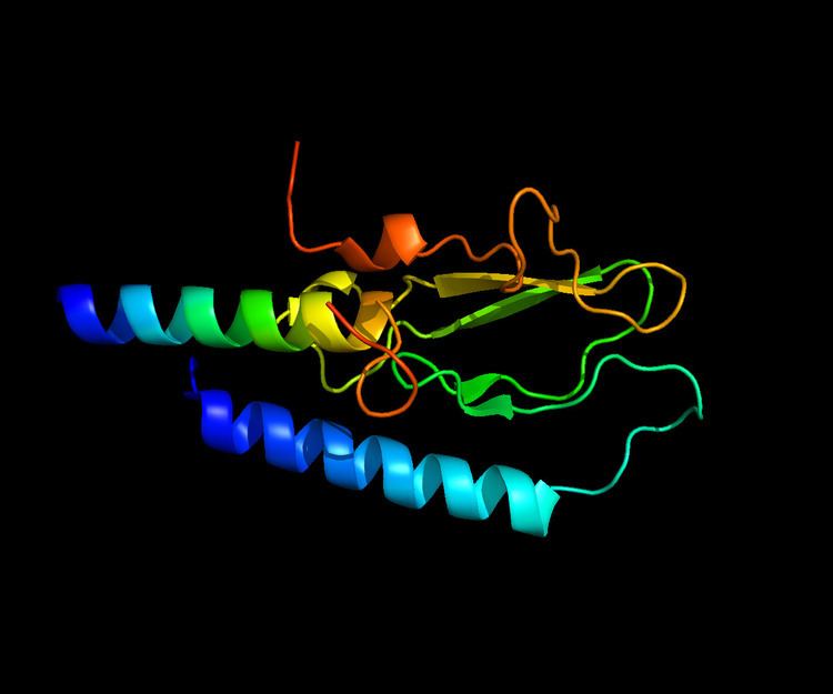 Glucagon-like peptide 1 receptor