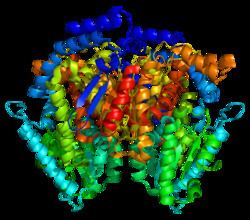 Glucose-6-phosphate isomerase Glucose6phosphate isomerase Wikipedia