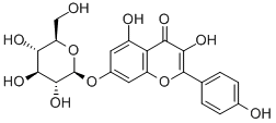 Glucoside KAEMPFEROL7OGLUCOSIDE 16290076