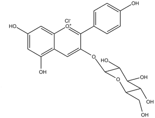 Glucoside polyphenolscomgetfilephp13518BilderStrukturf