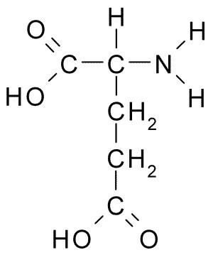 Glutamic acid FileLGlutamic Acidpng Wikimedia Commons