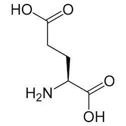 Glutamic acid LGlutamic Acid Suppliers Manufacturers amp Traders in India