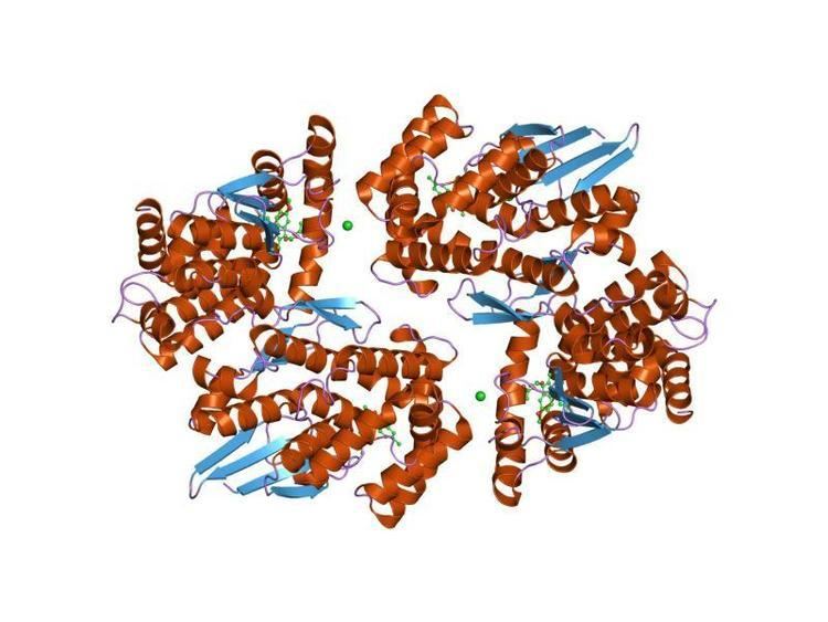 Glutathione S-transferase, C-terminal domain