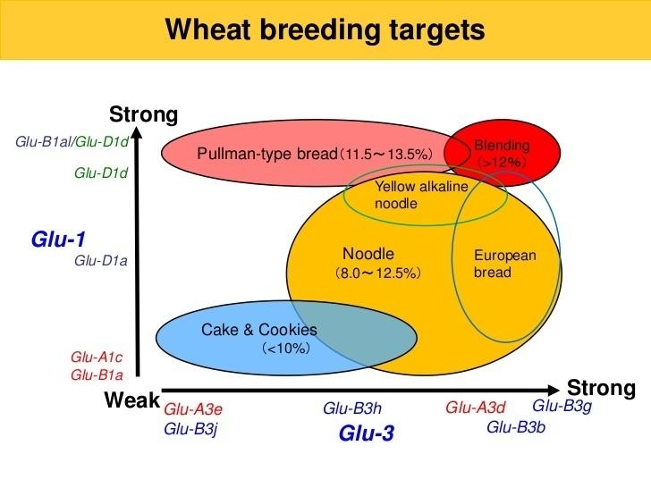 Glutenin Comparison of glutenin subunit composition among Australian and North