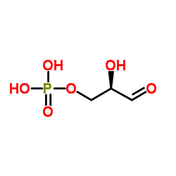Glyceraldehyde 3-phosphate dglyceraldehyde 3phosphate C3H7O6P ChemSpider
