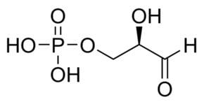 Glyceraldehyde 3-phosphate DGlyceraldehyde 3phosphate solution 813 mgmL in H2O SigmaAldrich