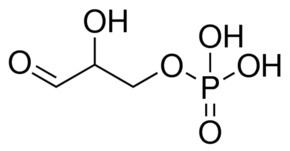 Glyceraldehyde 3-phosphate DLGlyceraldehyde 3phosphate solution 4555 mgmL in H2O Sigma