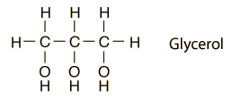 Glycerol Glycerol