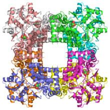 Glycerol dehydrogenase httpsuploadwikimediaorgwikipediacommonsthu