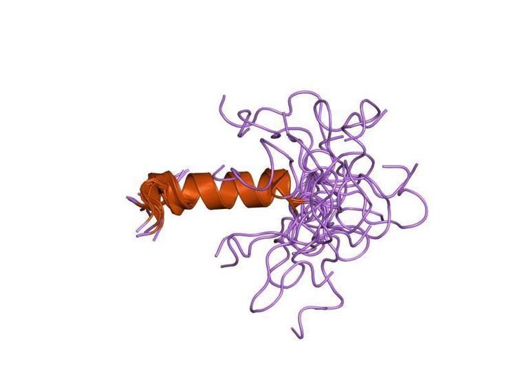 Glycine receptor, alpha 1