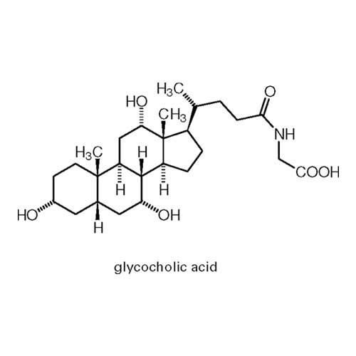 Glycocholic acid Glycocholic Acid Triveni Interchem Pvt Ltd Manufacturer in Vapi