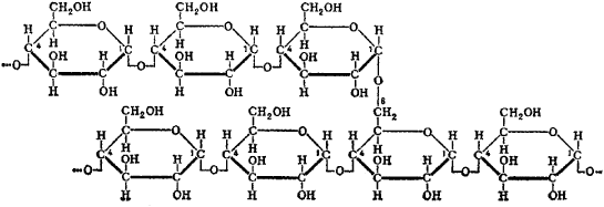 Glycogen Glycogen Article about glycogen by The Free Dictionary