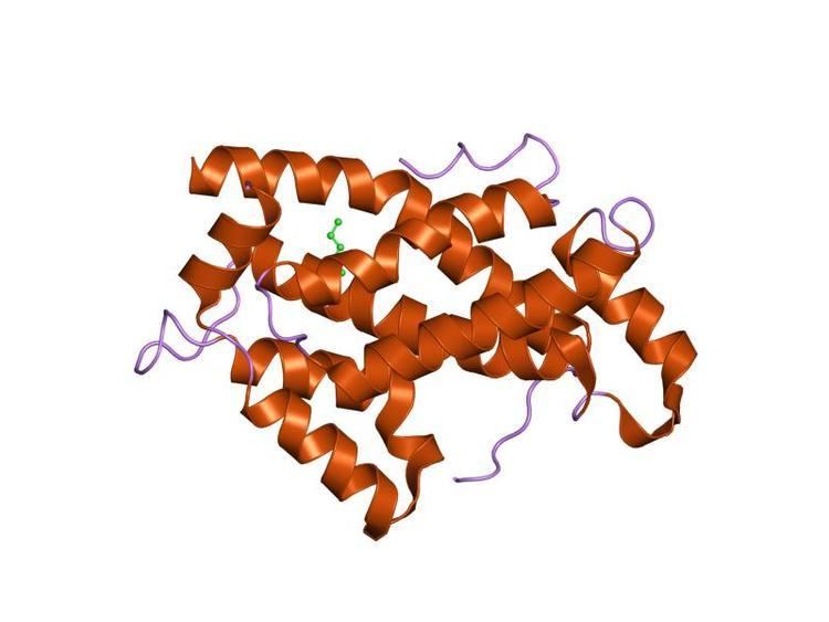 Glycolipid transfer protein
