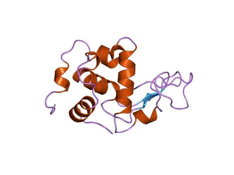 Glycoside hydrolase family 22