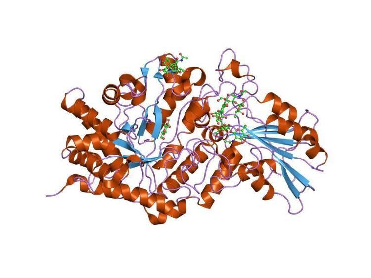 Glycoside hydrolase family 3