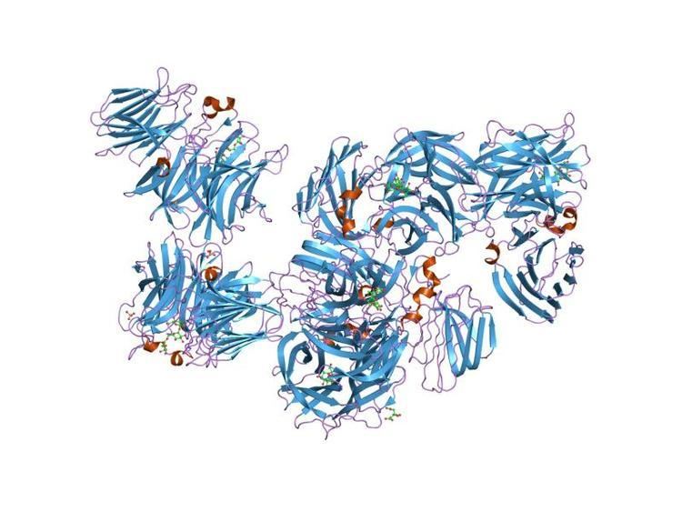 Glycoside hydrolase family 32