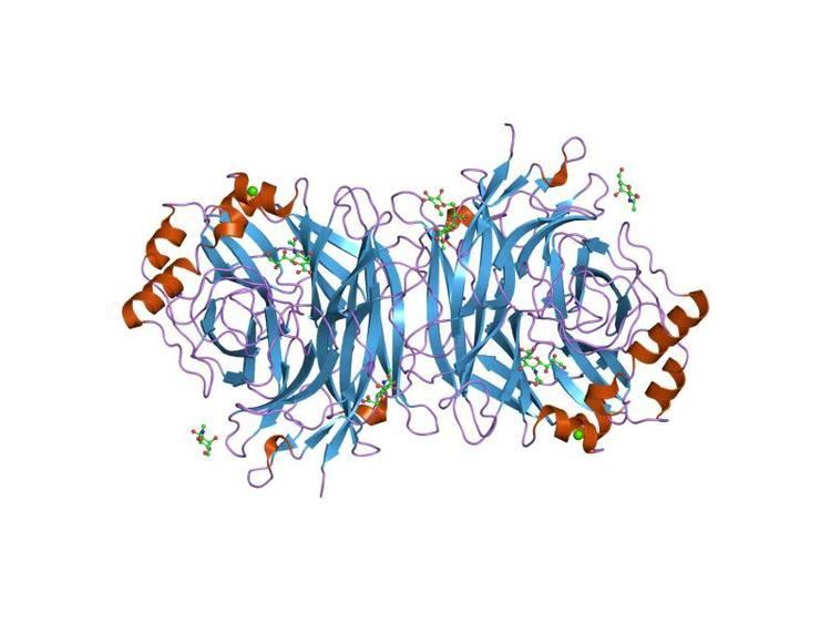 Glycoside hydrolase family 83