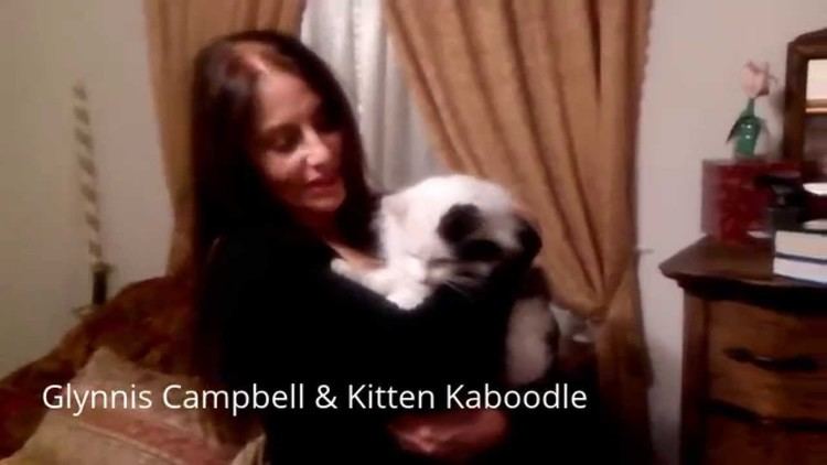 Glynnis Talken Campbell Bestselling Author Glynnis Campbell with Kitten Kaboodle YouTube